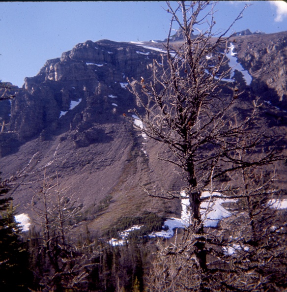 Atop_Mt_in_valley_of_10_peaks_above_monamie_lake_hiked_up_Larch_Valley_from_Lake_Louise.jpg
