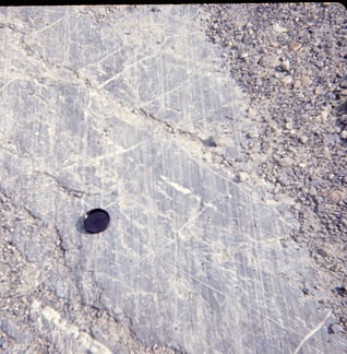 Glacial Striations Columbia Icefields