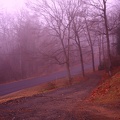 foggy_morning.JPG
