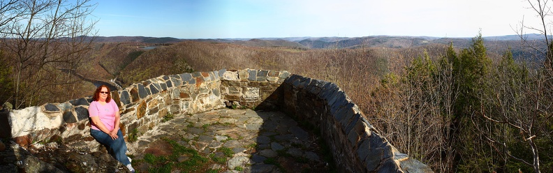 Monroe_State_Forest_Lookout.jpg