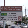 Ring of Kerry  18 