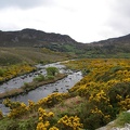 Ring of Kerry  36 