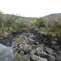 Ring of Kerry  90 