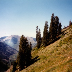 Mineral King Hike 1994