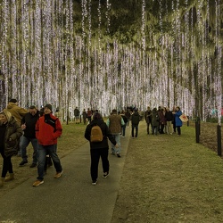Brookgreen Gardens - Night of a Thousand Lights
