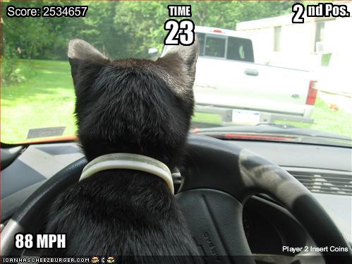 funny-pictures-cat-is-in-a-racing-game
