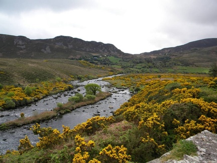 Ring of Kerry  36 