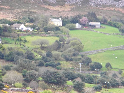 Ring of Kerry  39 