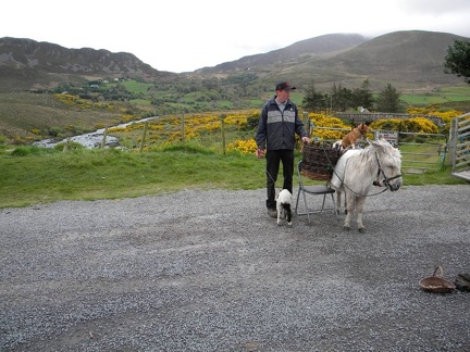 Ring of Kerry  43 